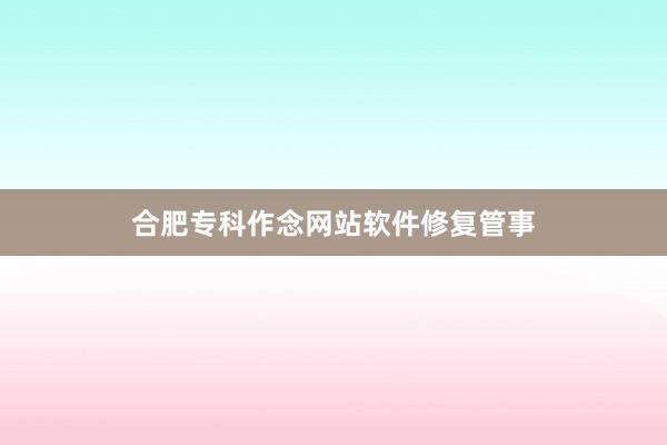 合肥专科作念网站软件修复管事