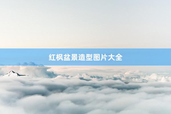 红枫盆景造型图片大全