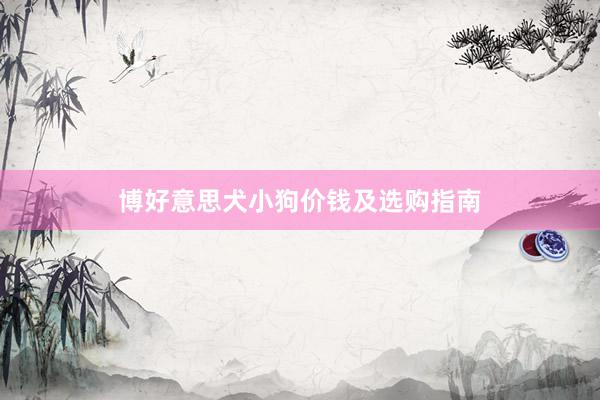 博好意思犬小狗价钱及选购指南