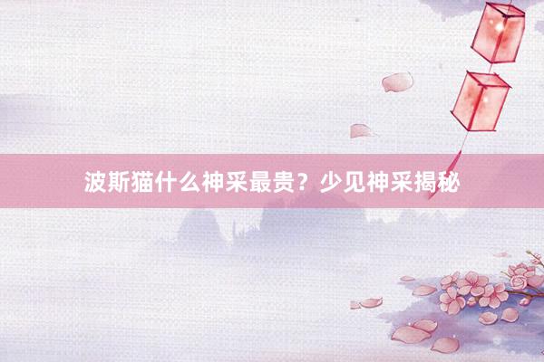 波斯猫什么神采最贵？少见神采揭秘